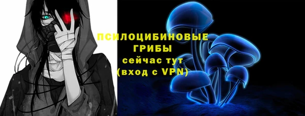 не бодяженный Новодвинск